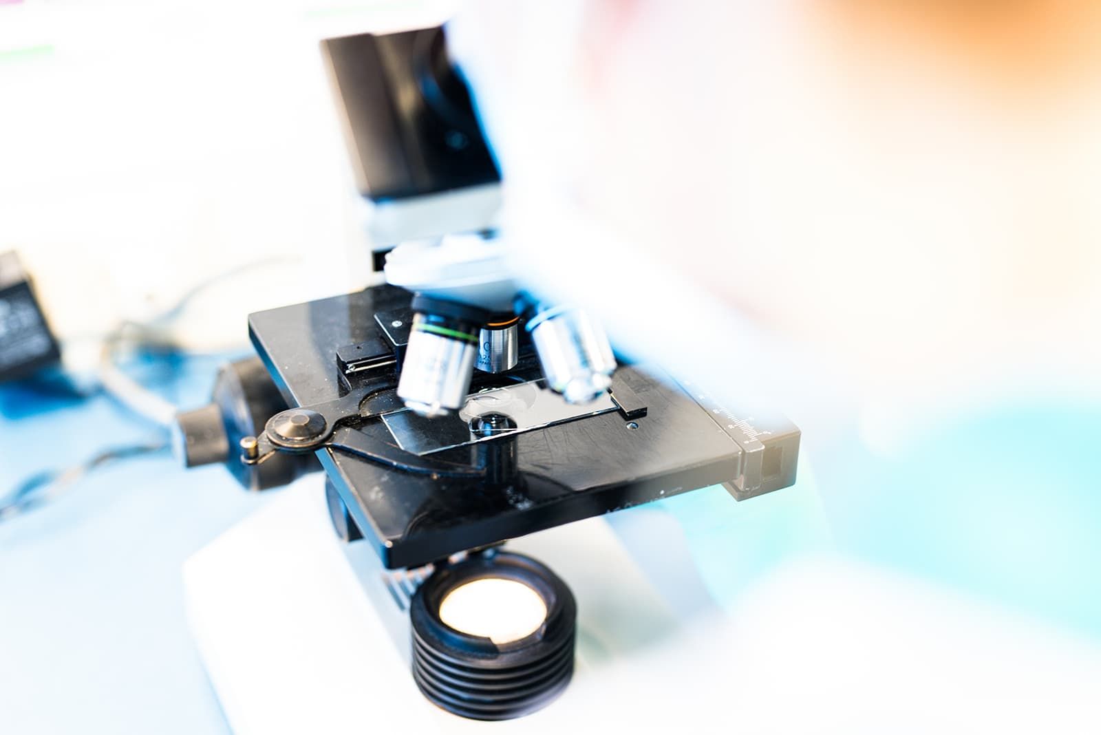 Pas op voor Myiasis (maden) bij konijnen!