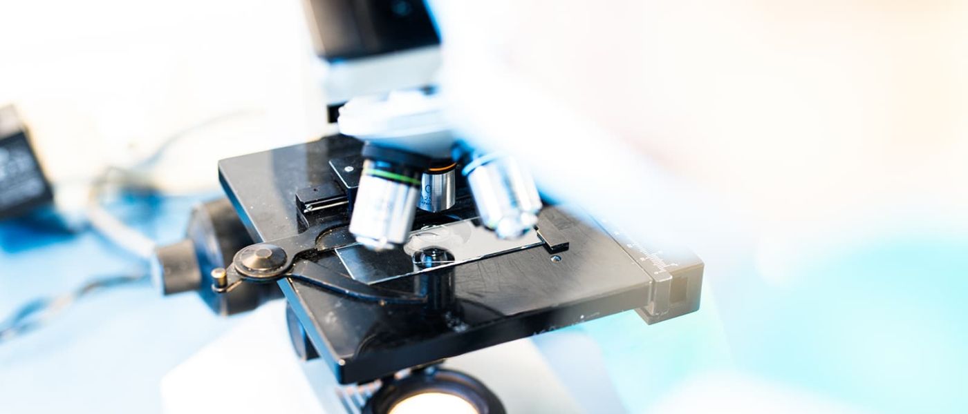 Pas op voor Myiasis (maden) bij konijnen!